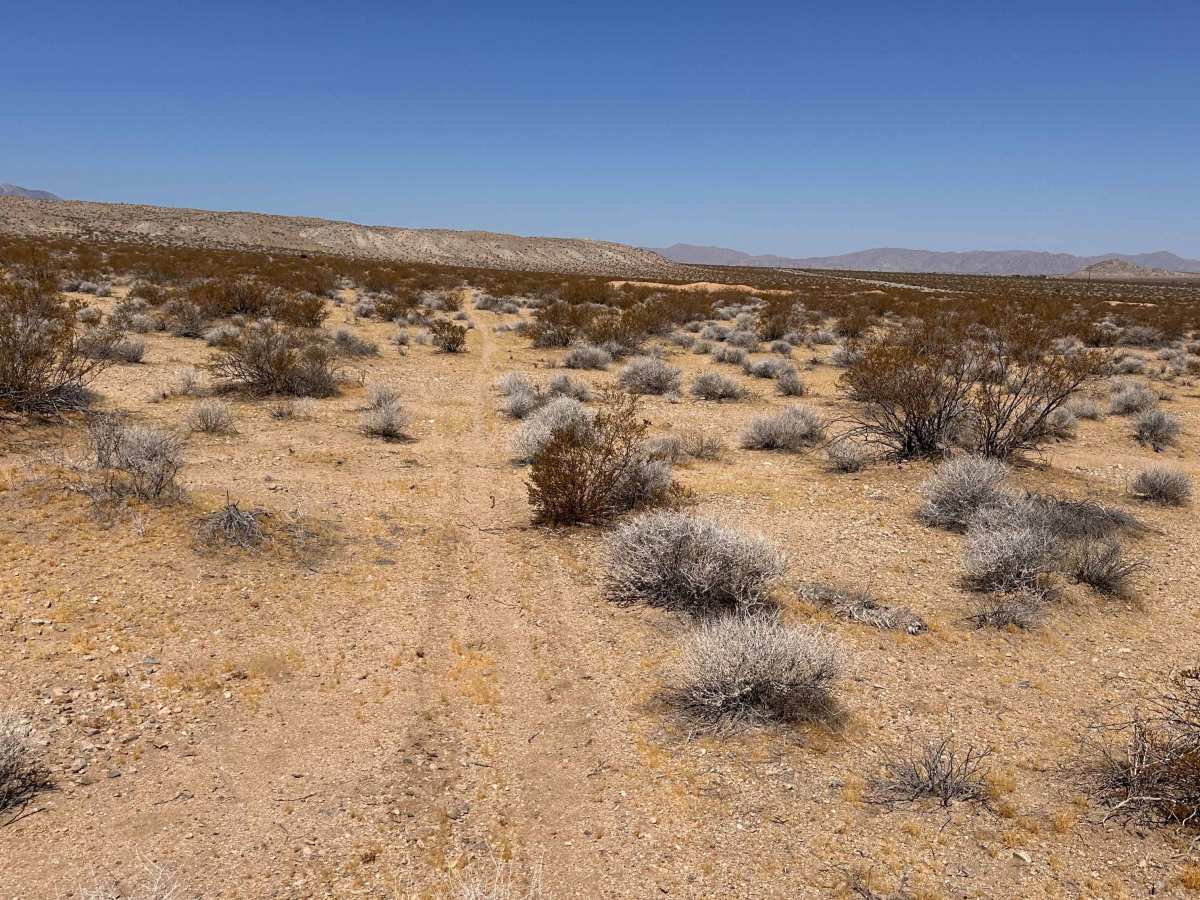 Burro Flats photo 4