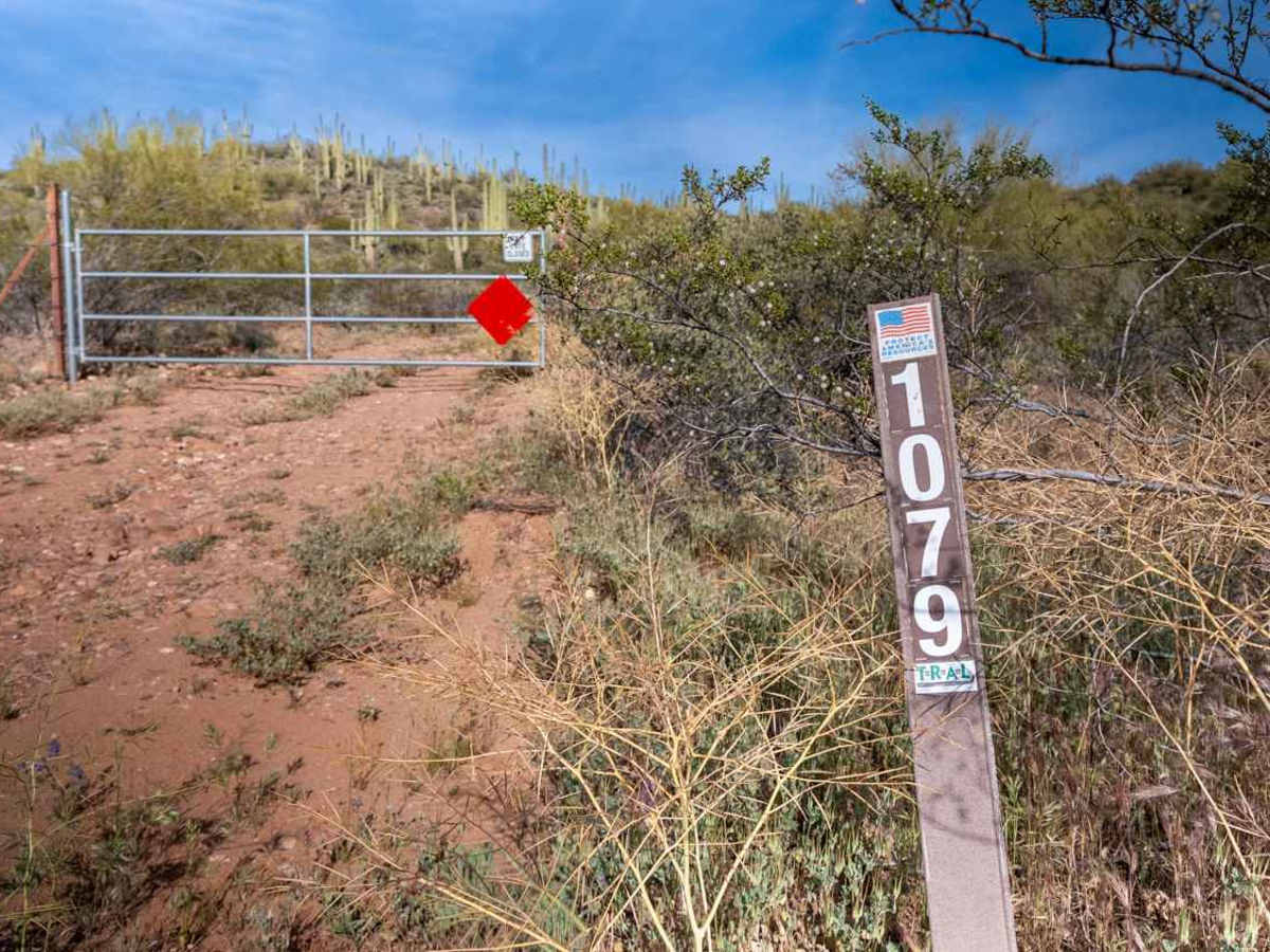 FS 1079 trail photo
