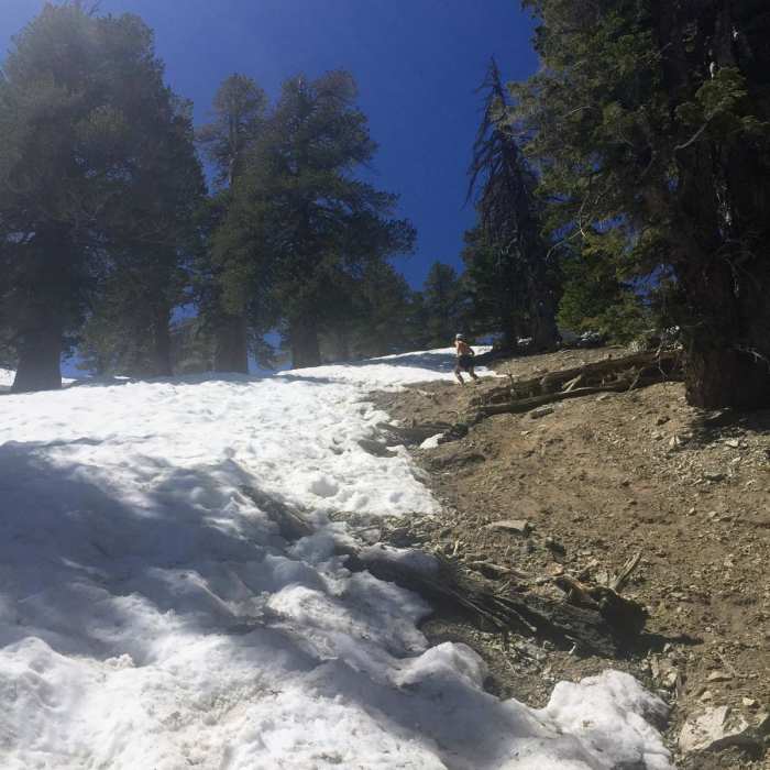 Near West Mount Baldy