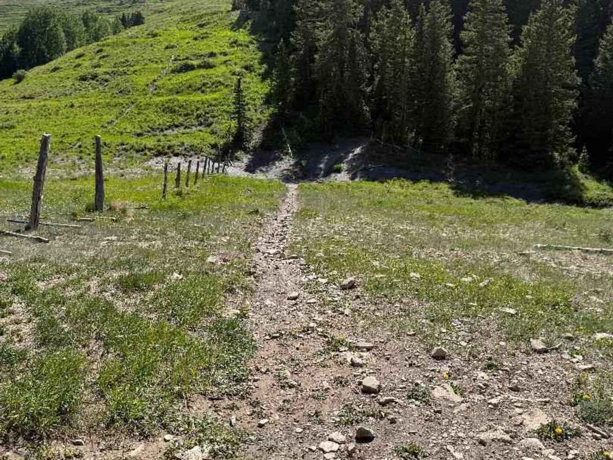 Robertson Pasture Trail No. 020 photo 2