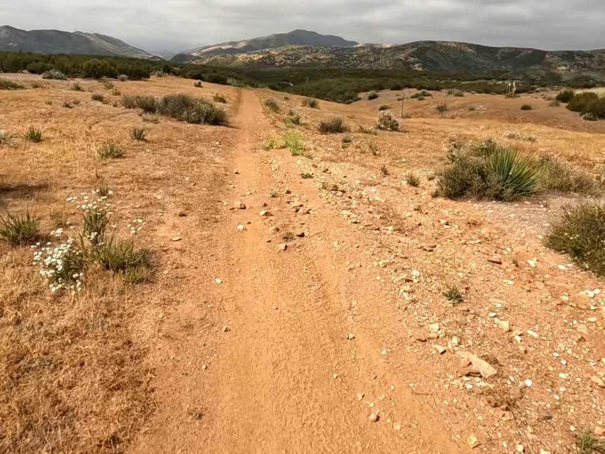 Buffer OHV Trail photo 5
