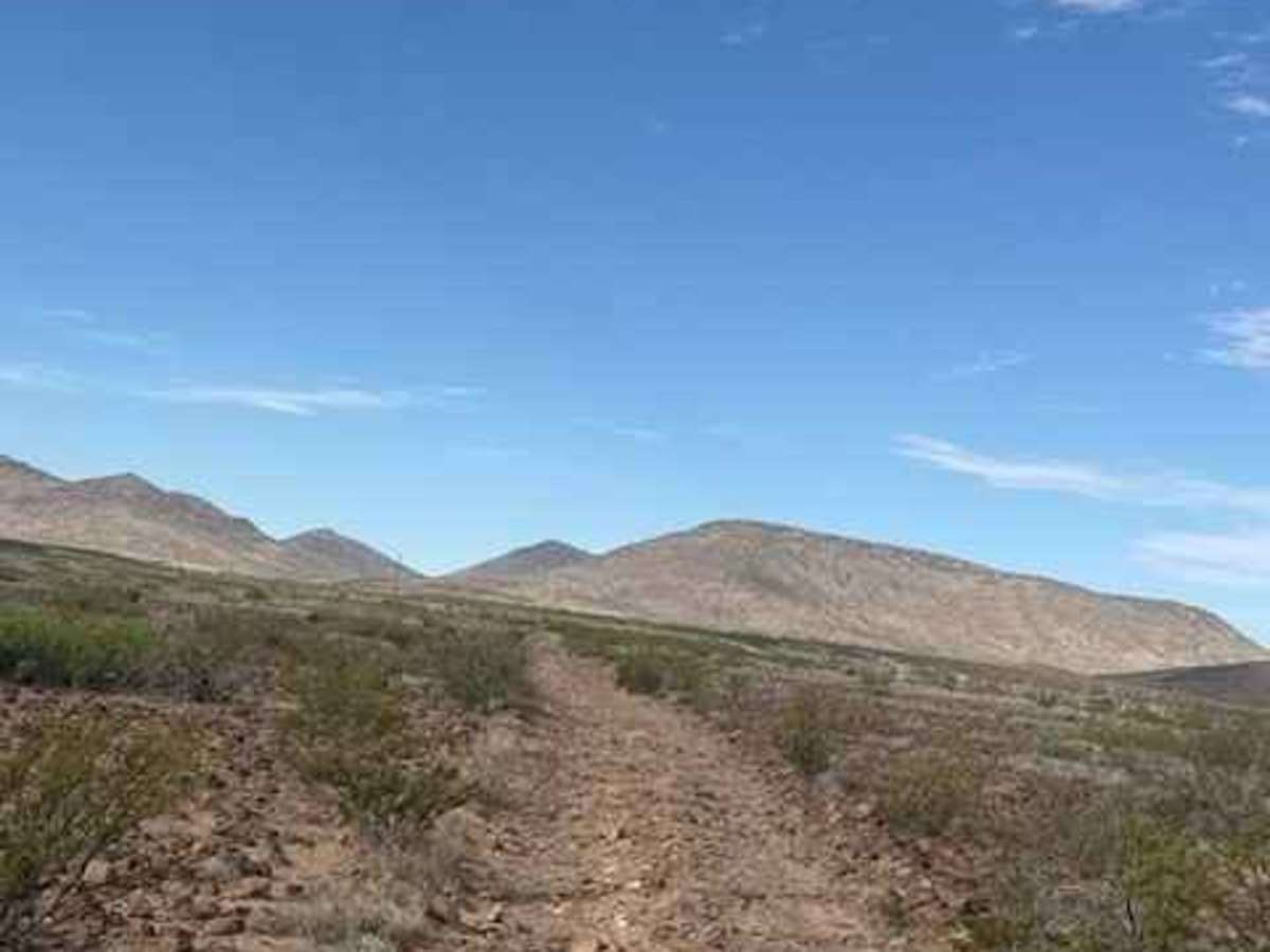 BLM SS1039 photo 4