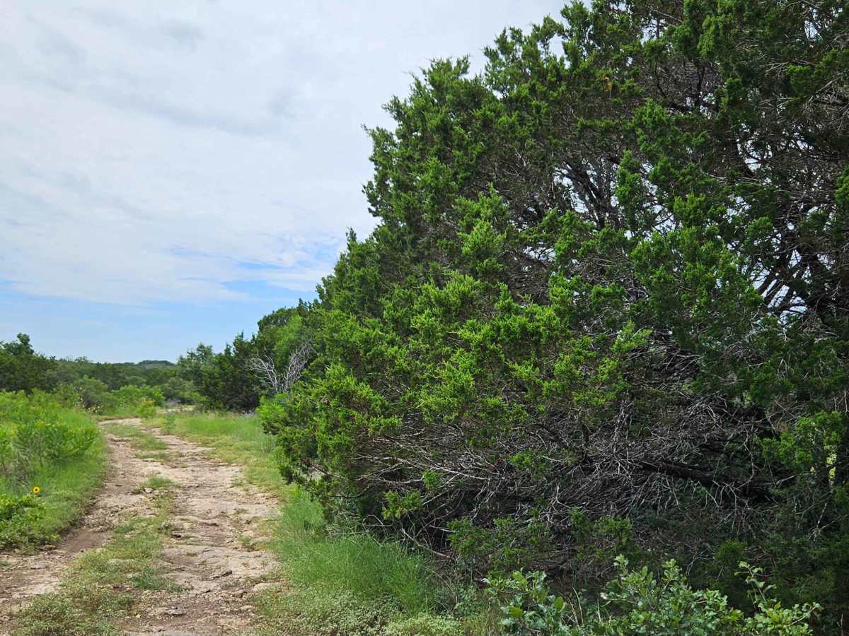 Cantina Trail photo 4
