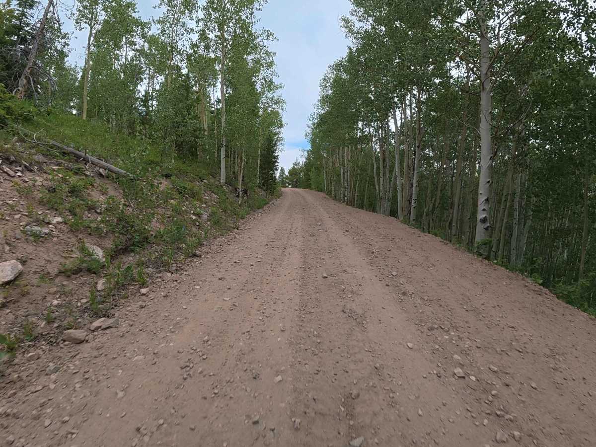 Bobcat Road - FS 185 trail photo