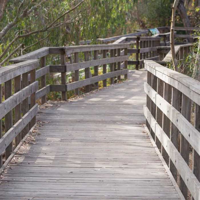 Near Monarch Trail Hike