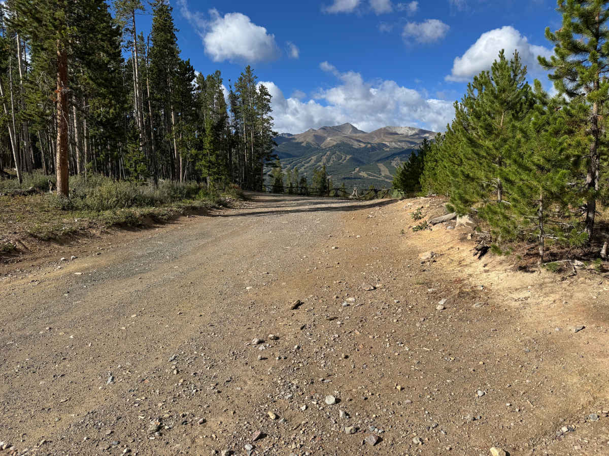 Gold Run Gulch Road photo 4