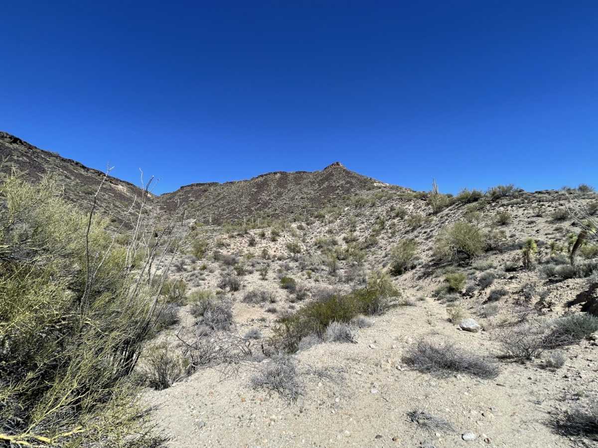 The Base of Malpais Mesa photo 5