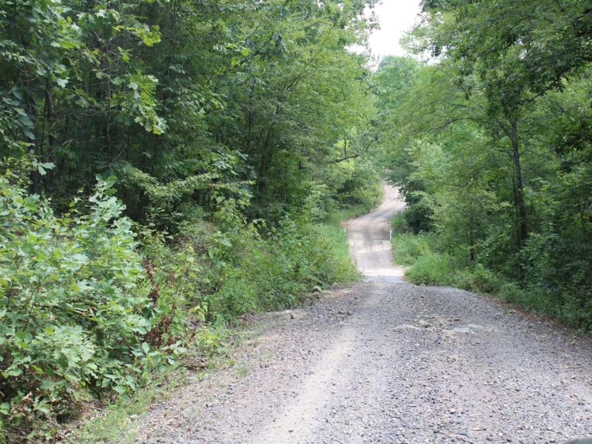Polk Road 34 to Camping photo 3