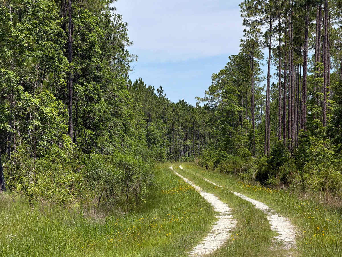 Quarters Road photo 4