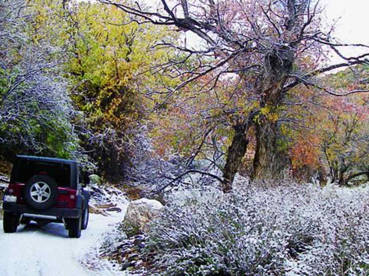 Moss Wash photo 4