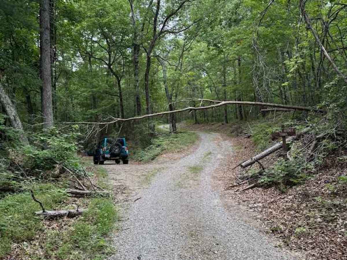 Peters Creek photo 5
