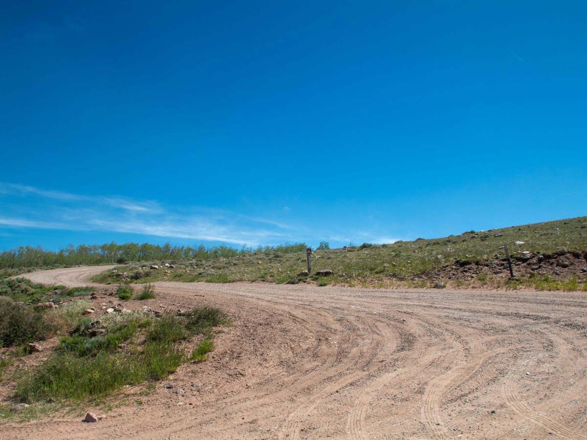 Cottonwood - FS 40013 photo 4