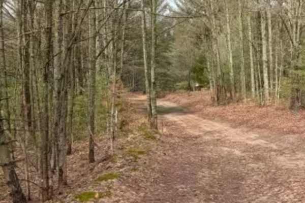 Hardwood Lane