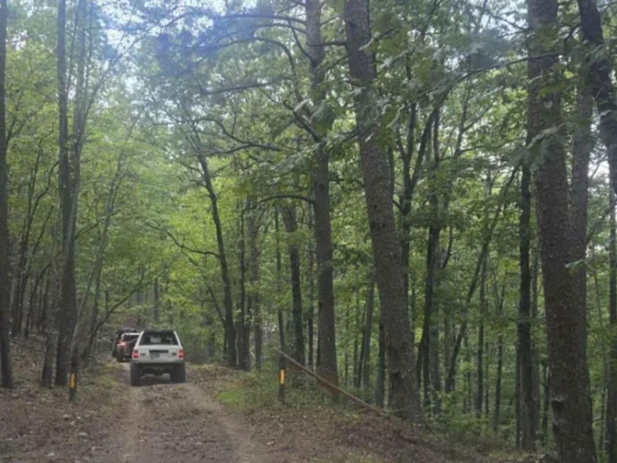 Bill's Branch Road photo 5