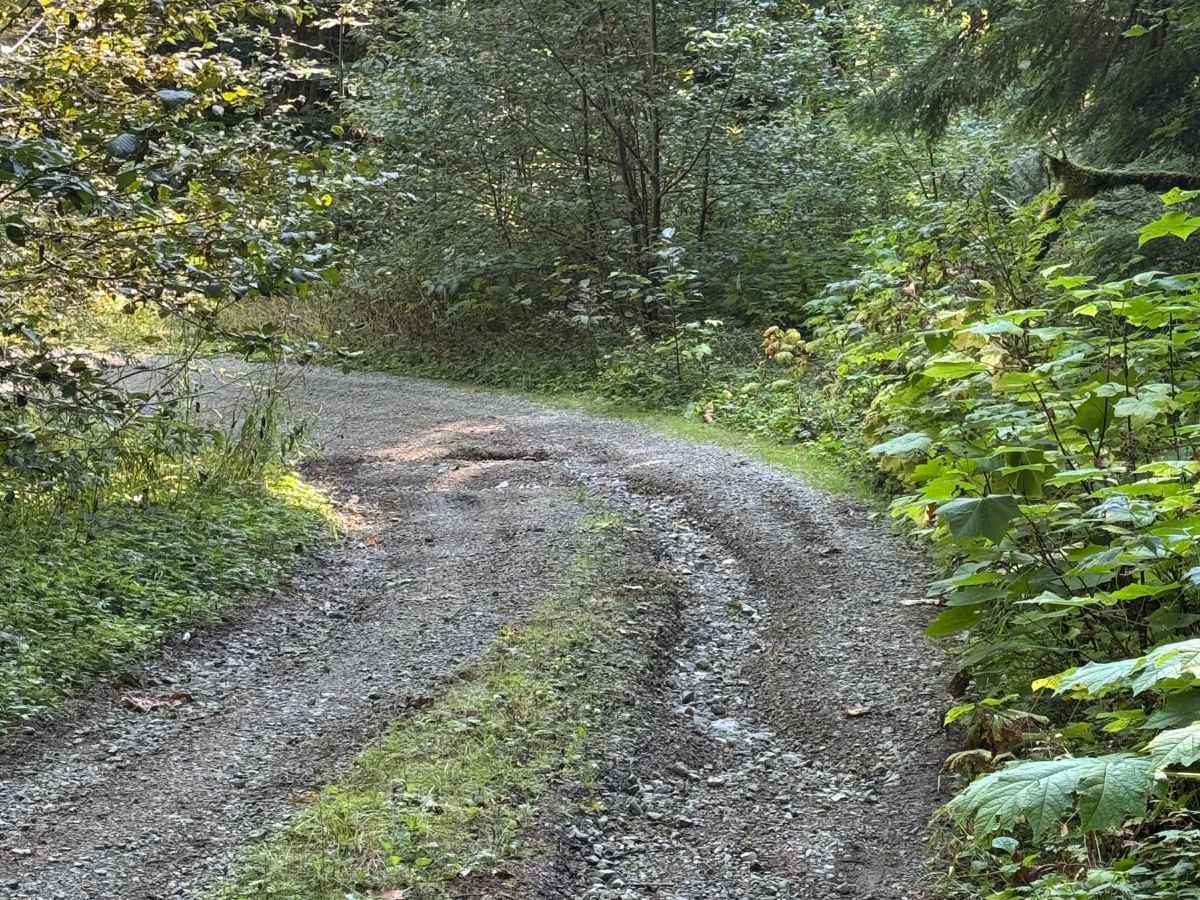 Peekaboo Lake Trail photo 5