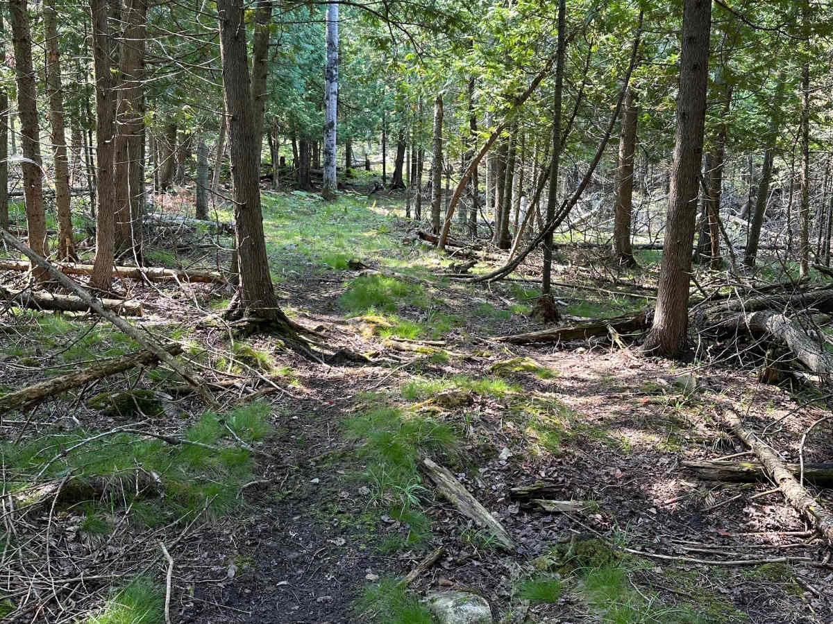 Less Traveled  photo 6
