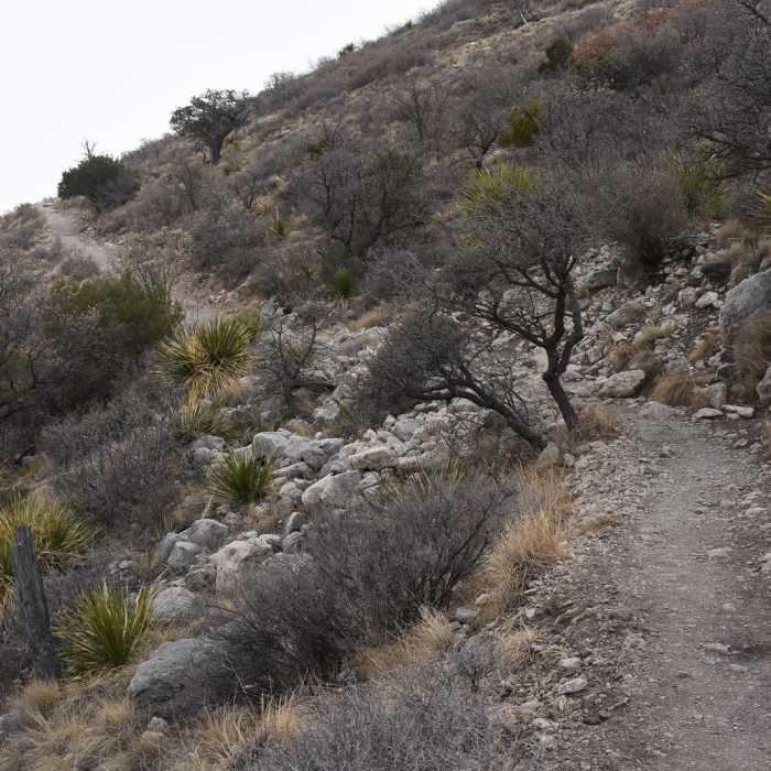 Near Devil's Hall Loop Near Devil's Hall Loop