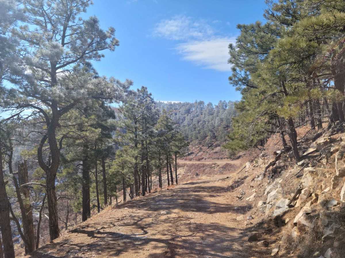 Red Cloud Trail photo 2