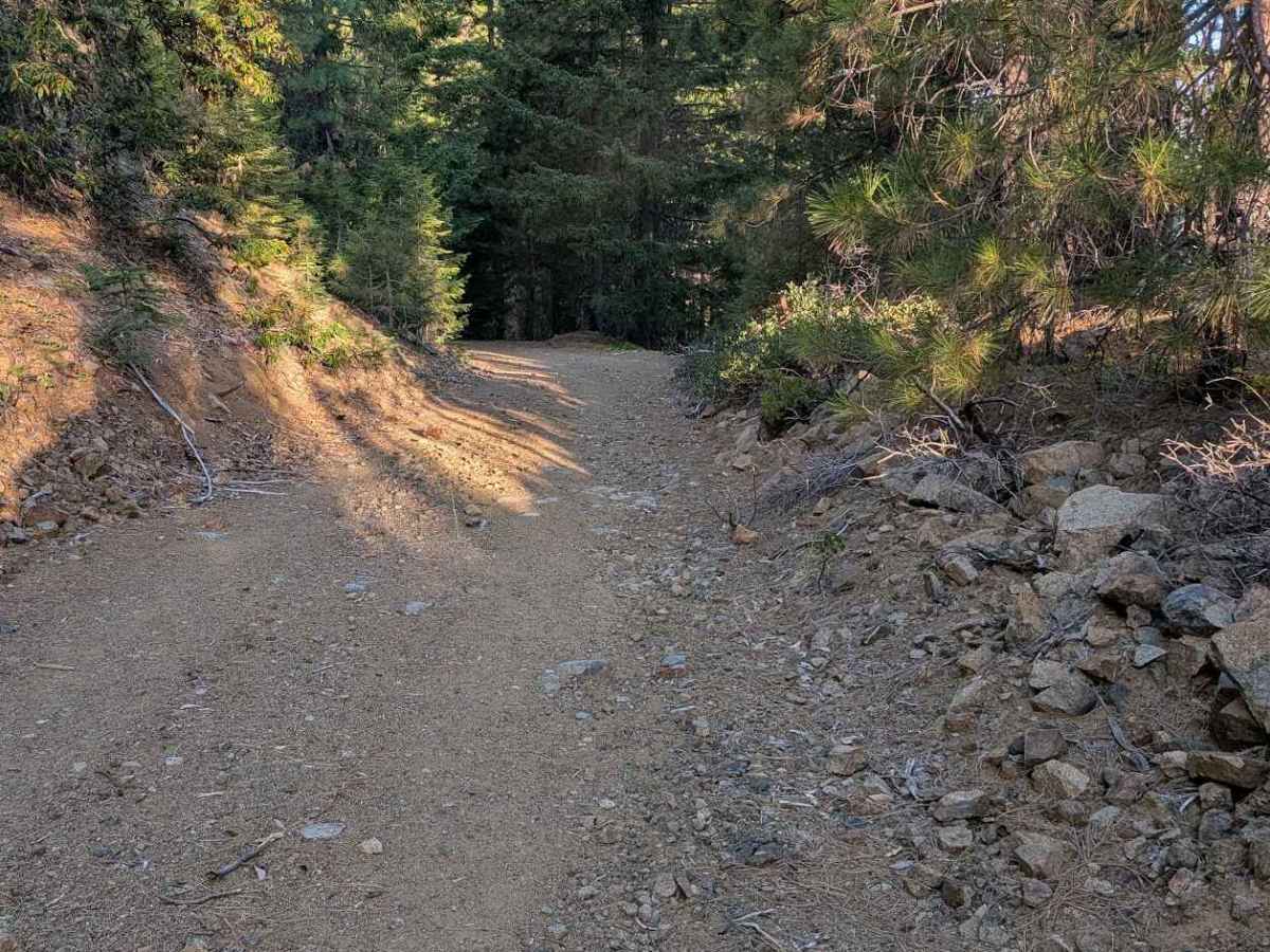 Big Lake Road - FS 5N09 photo 4