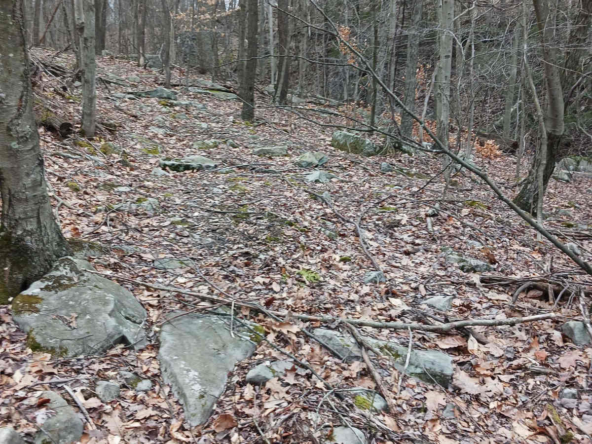 OHV 61 - Rock Run Recreation Area trail photo