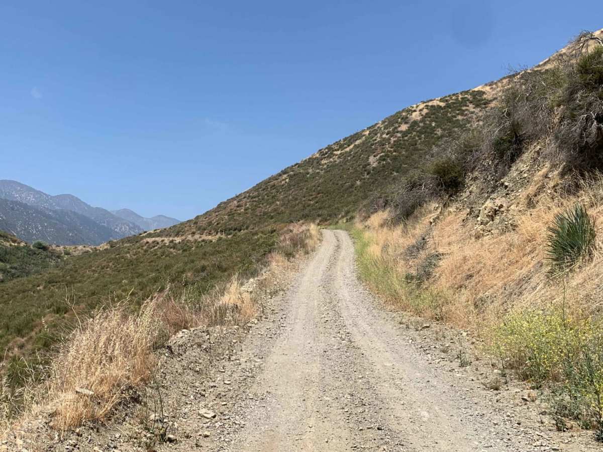 Upper Lytle Creek Divide photo 6