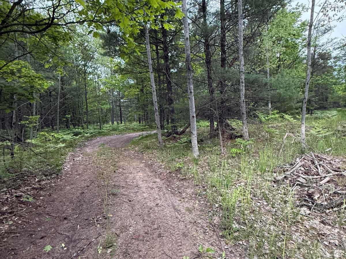 Crofton West Trail trail photo