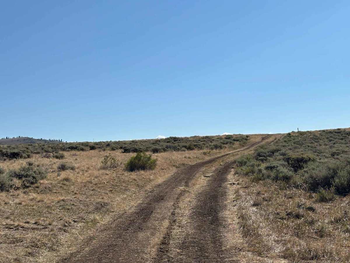 BLM 2759 Cutoff photo 6