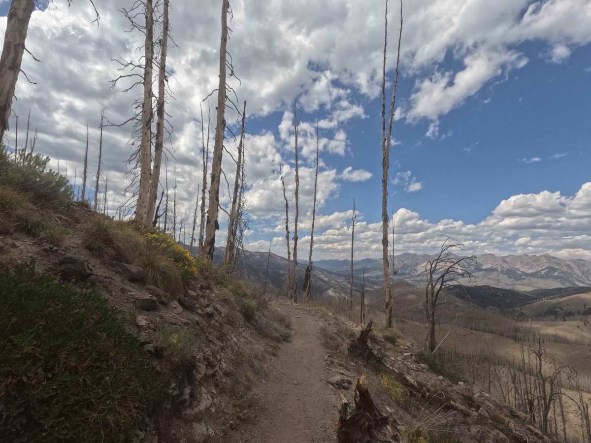 Osberg Ridgeline Trail - FS 7147 photo 3