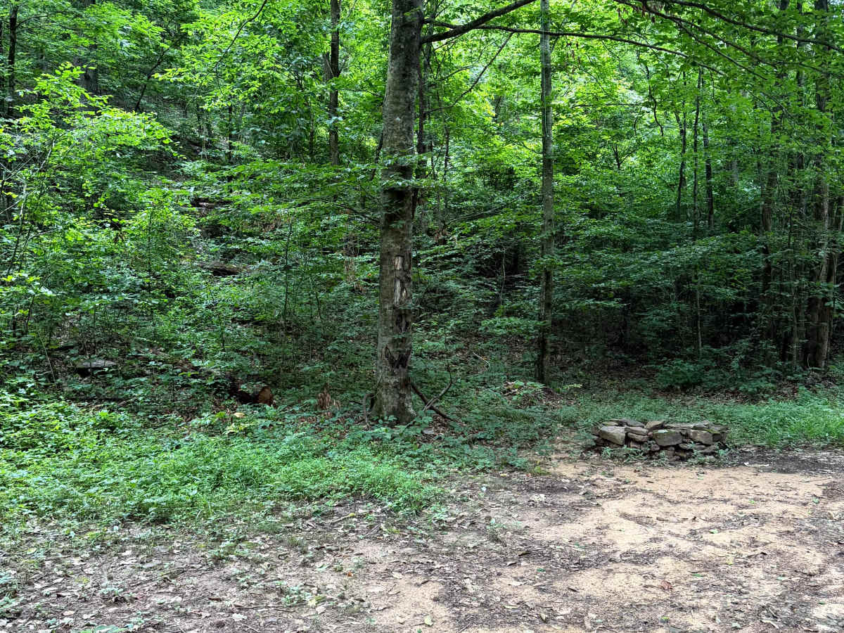 Peters Branch Boulevard photo 3
