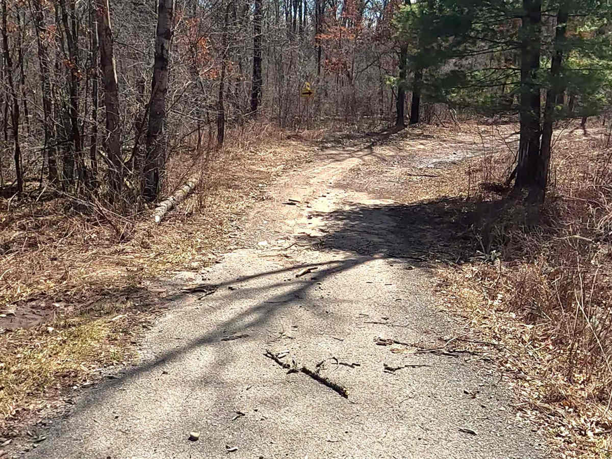 Alcona County Trail - ORV H7 photo 2