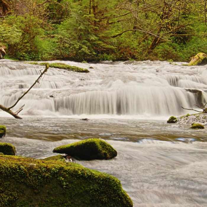 Near Sweet Creek Hike
