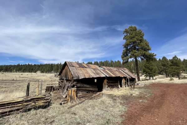 Sunflower Flat and JD Cabin