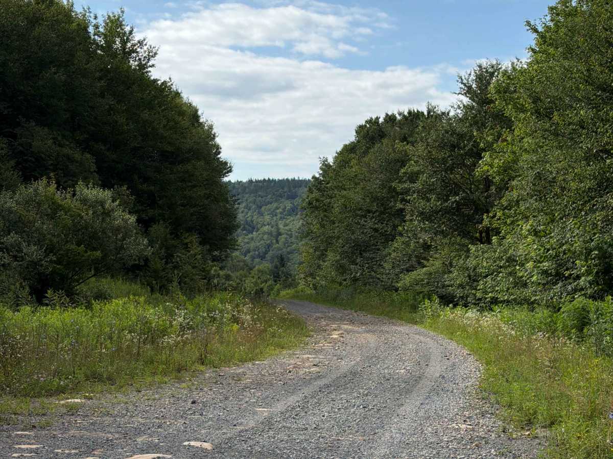South Fork Cherry Road trail photo