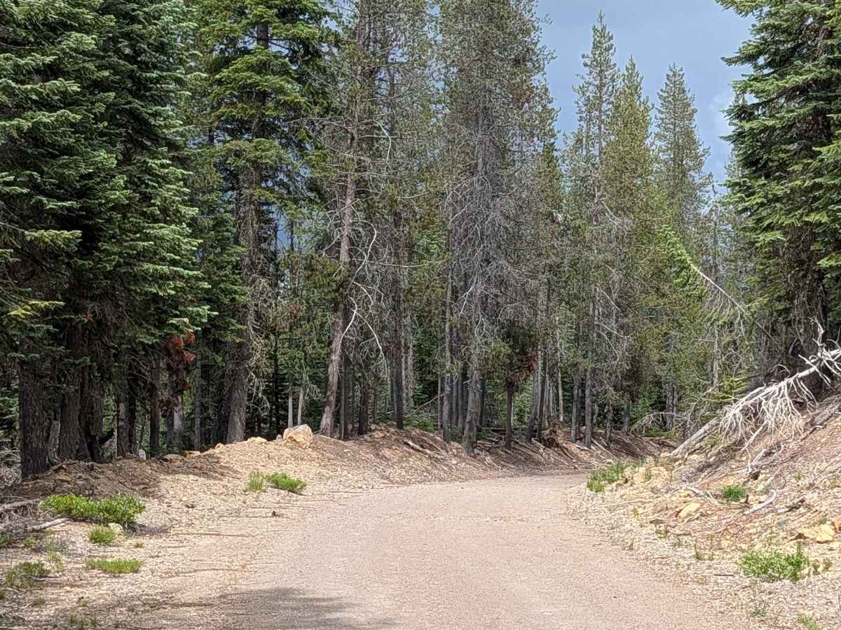 Pumice Mountain West - FS 43N15 photo 2