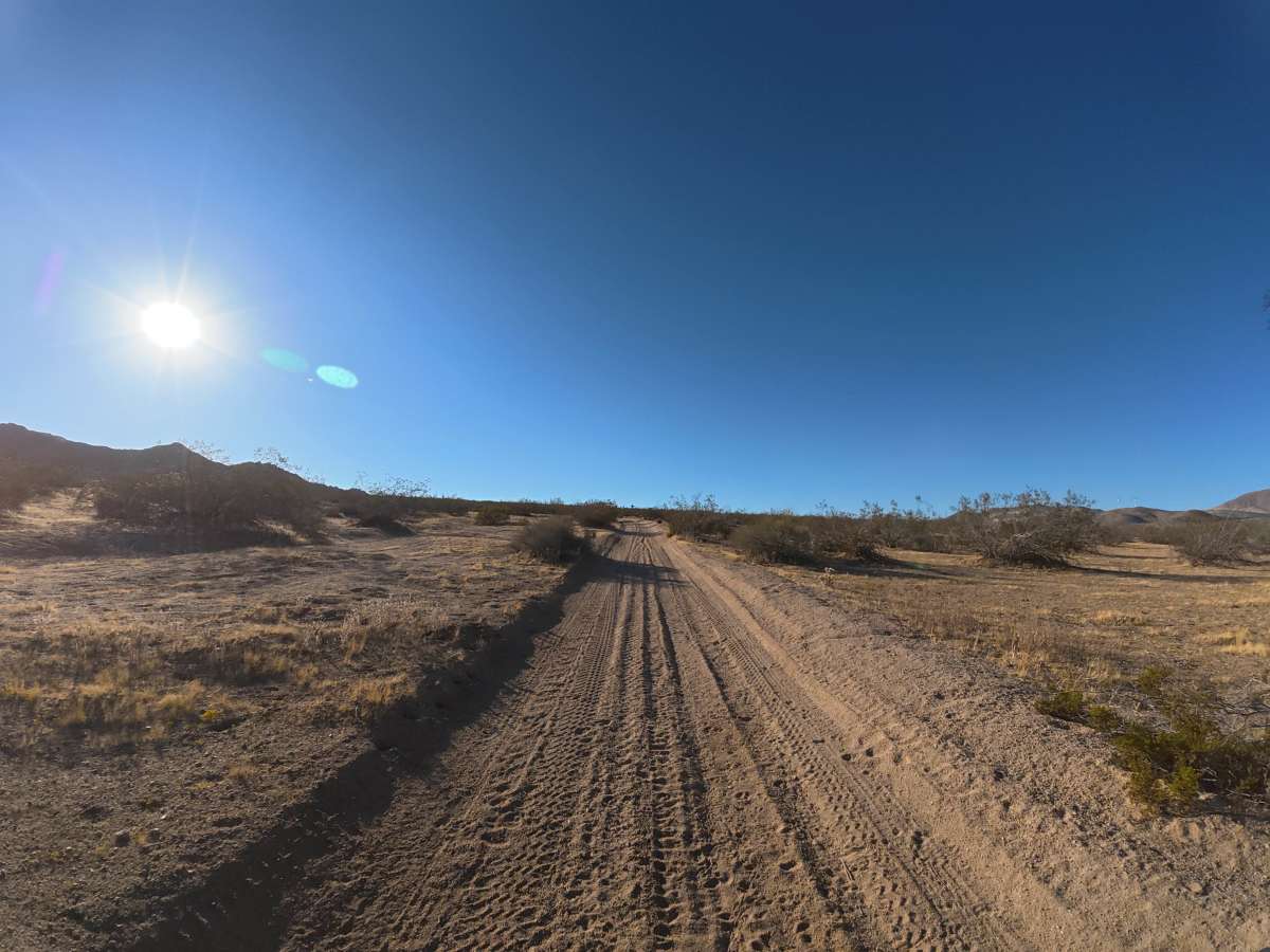 BLM SV2616 photo 4