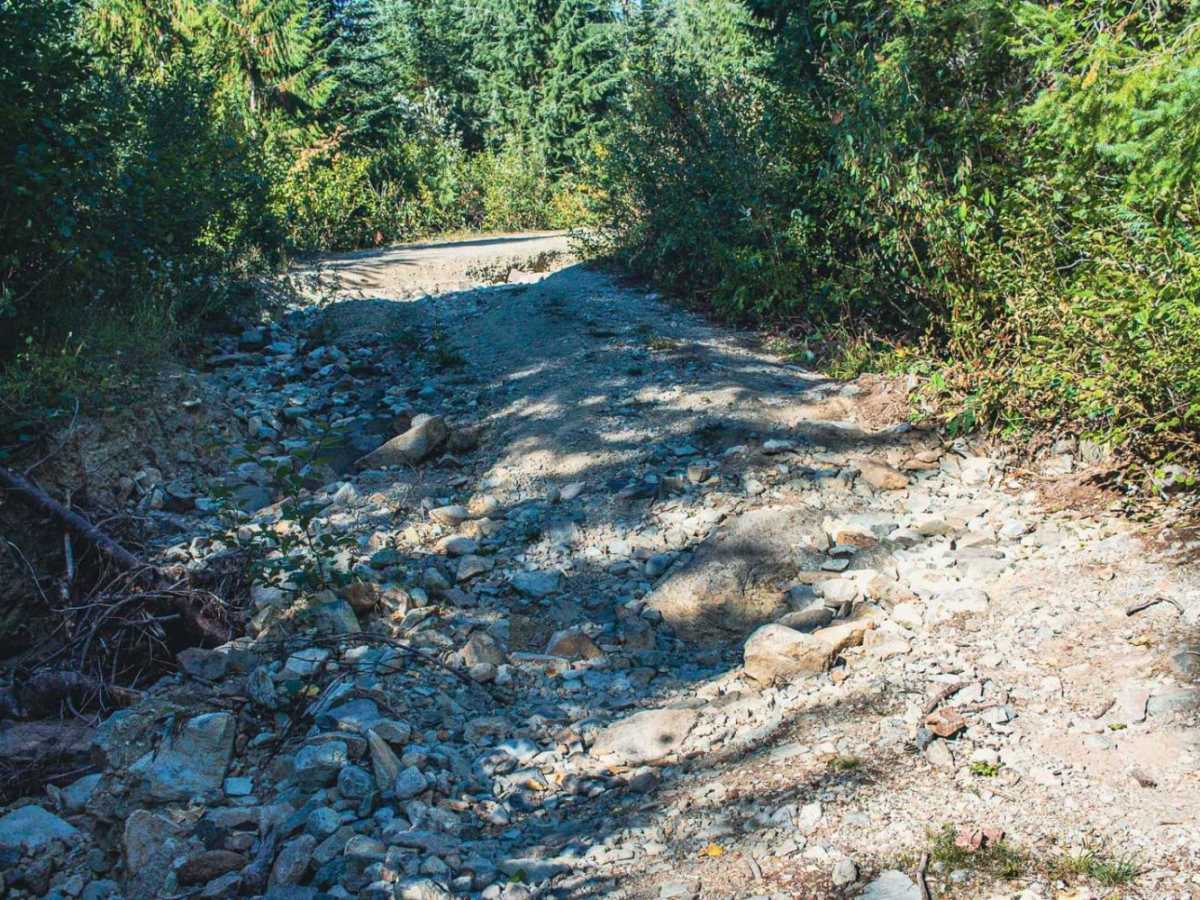 Dixon Mountain photo 5