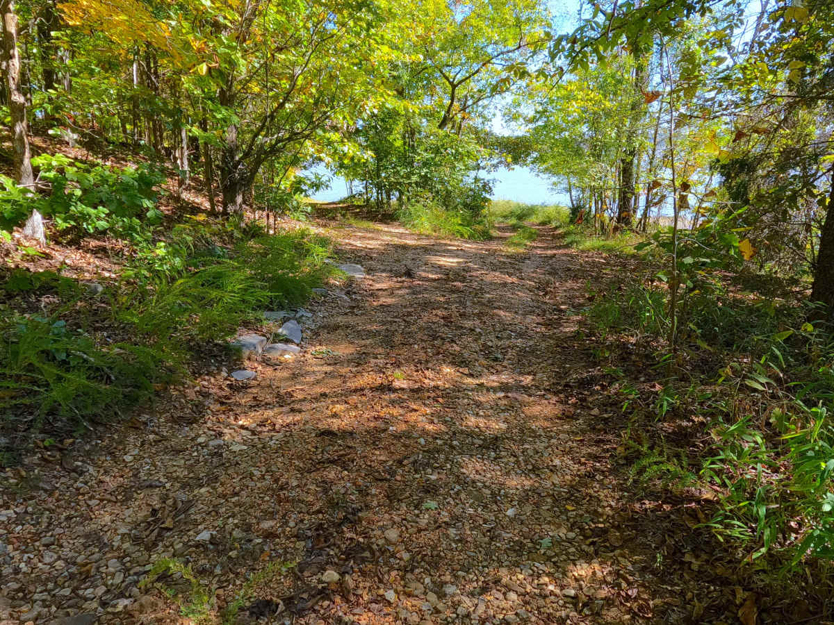 Wallace Road - FS 156 trail photo