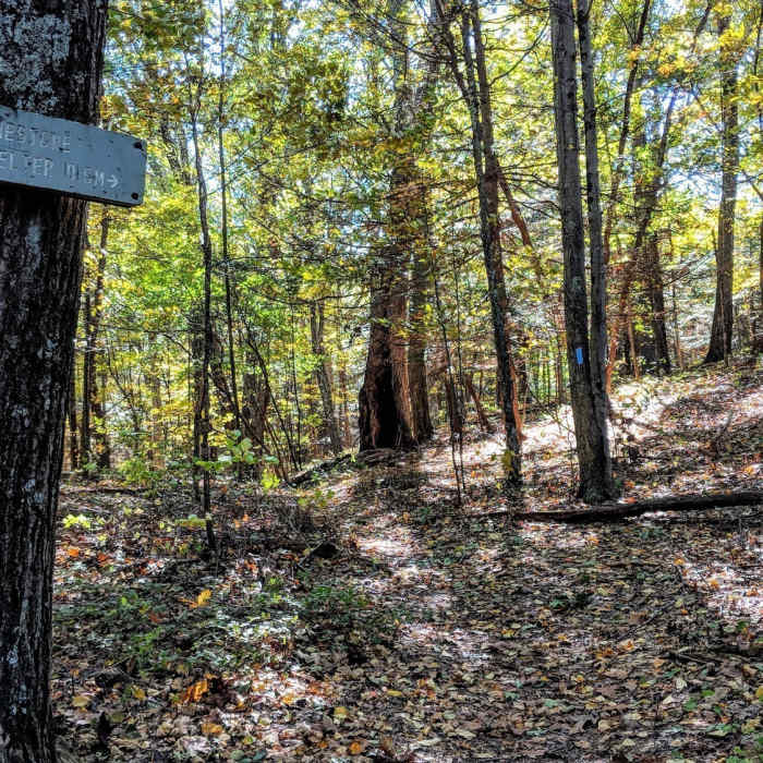 Near Rand's View Out and Back