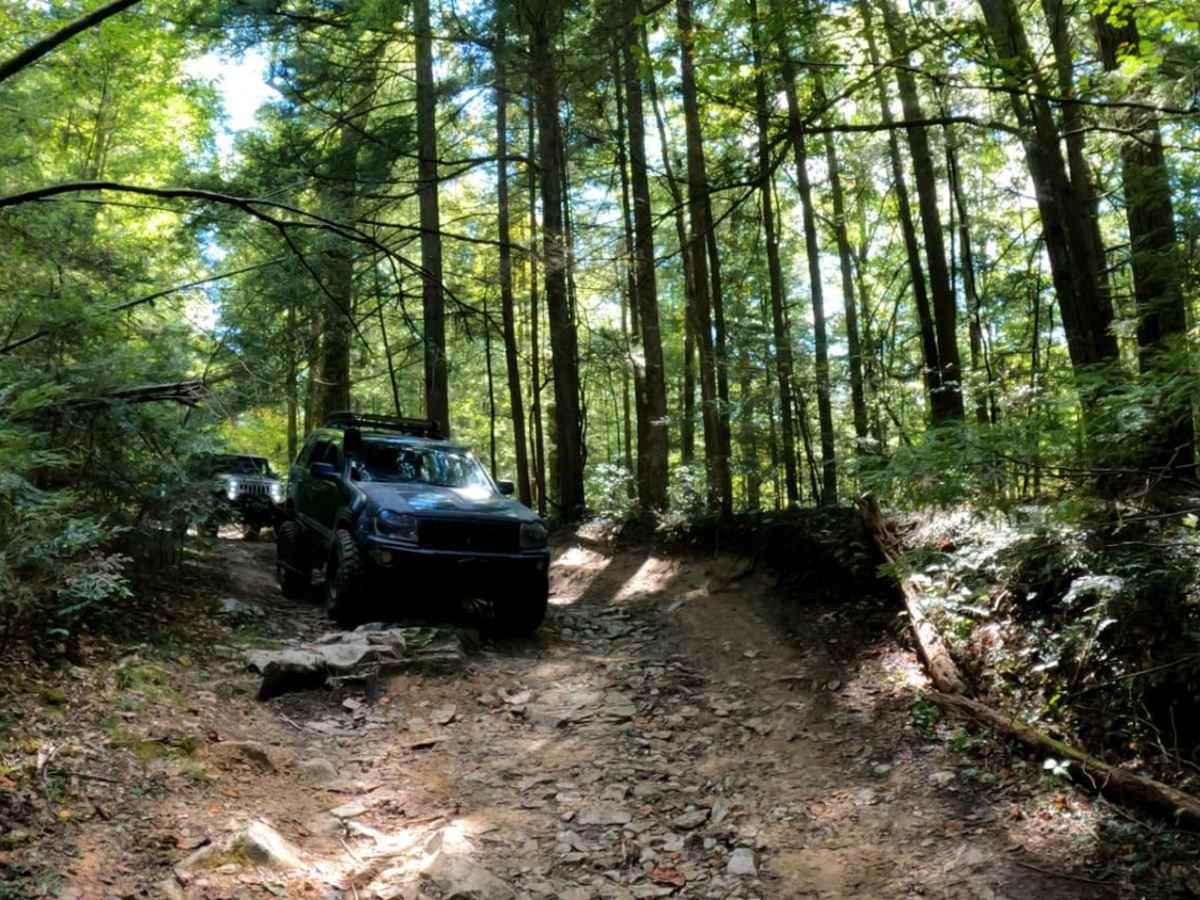Sinking Creek photo 6