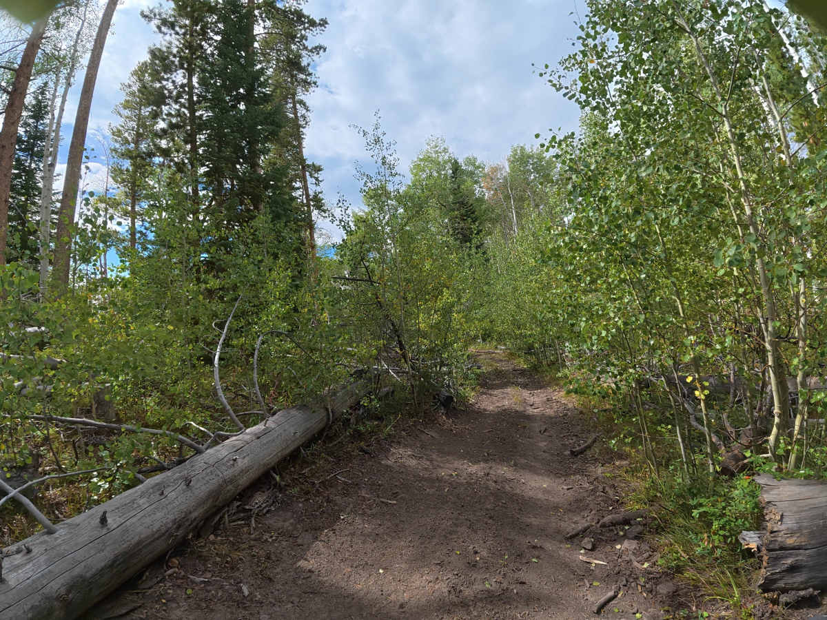 Beaver Lake Road photo 6