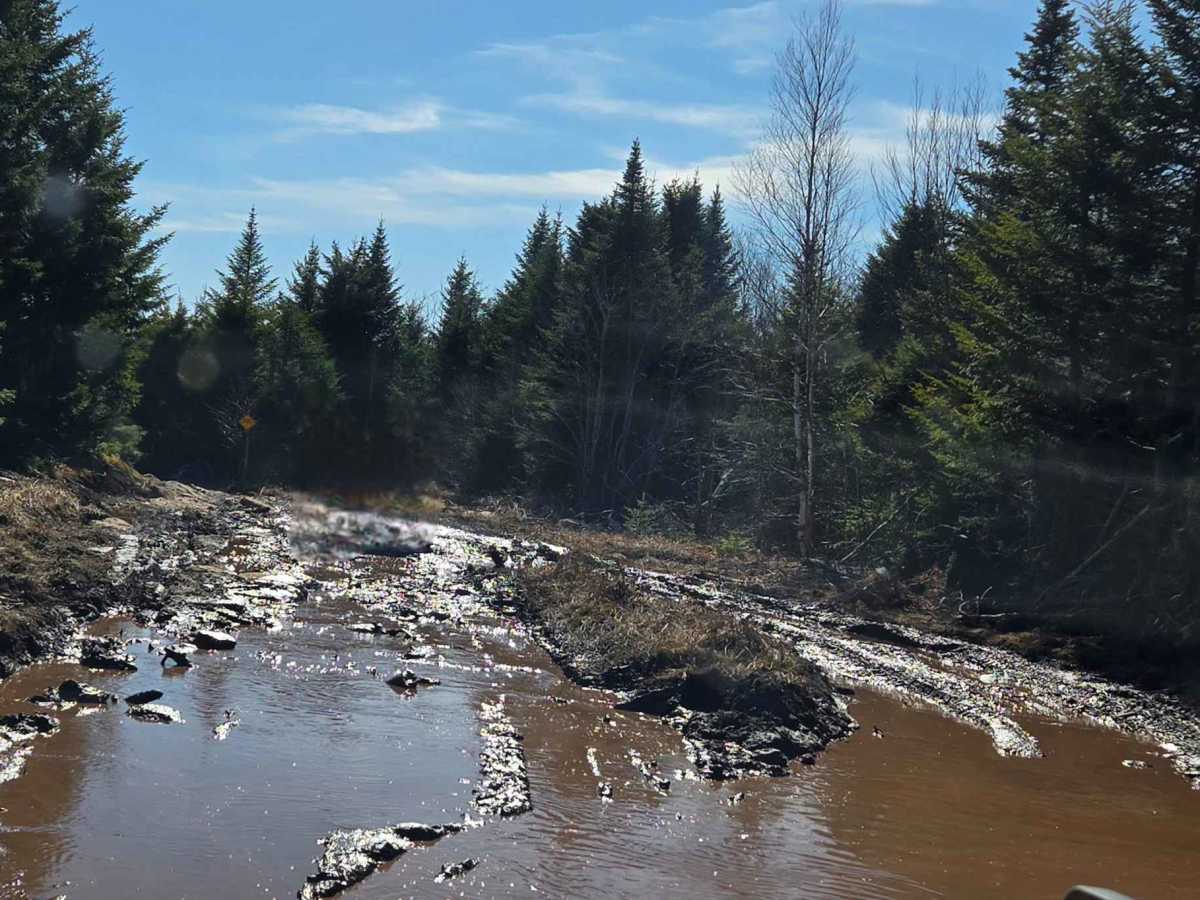 Moosebog trail photo