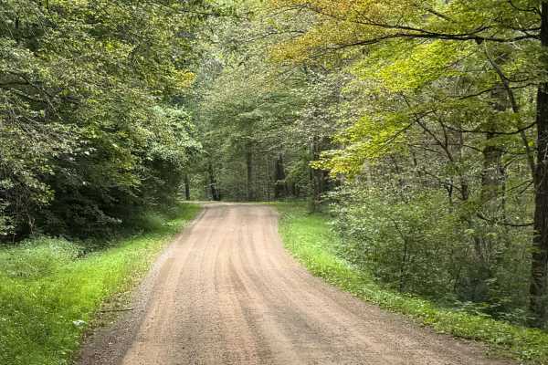 Brown Road