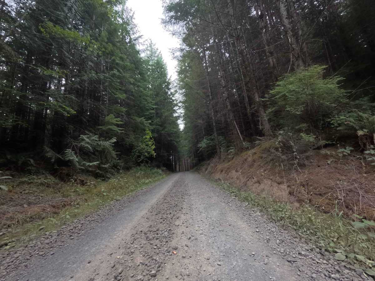 Camp Nine Road photo 2
