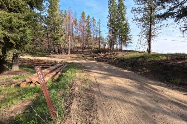 Tillicum Road - FS 58