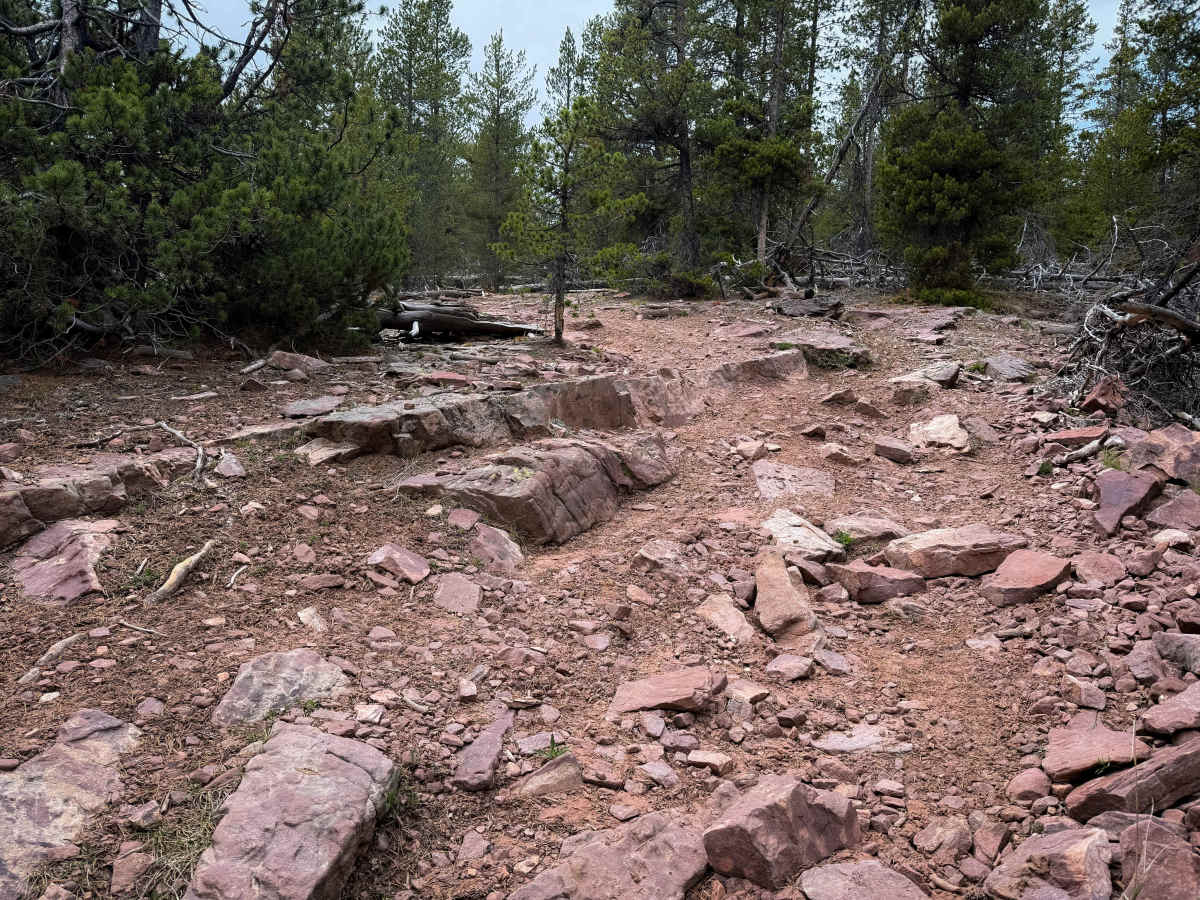 Round Park #47  trail photo