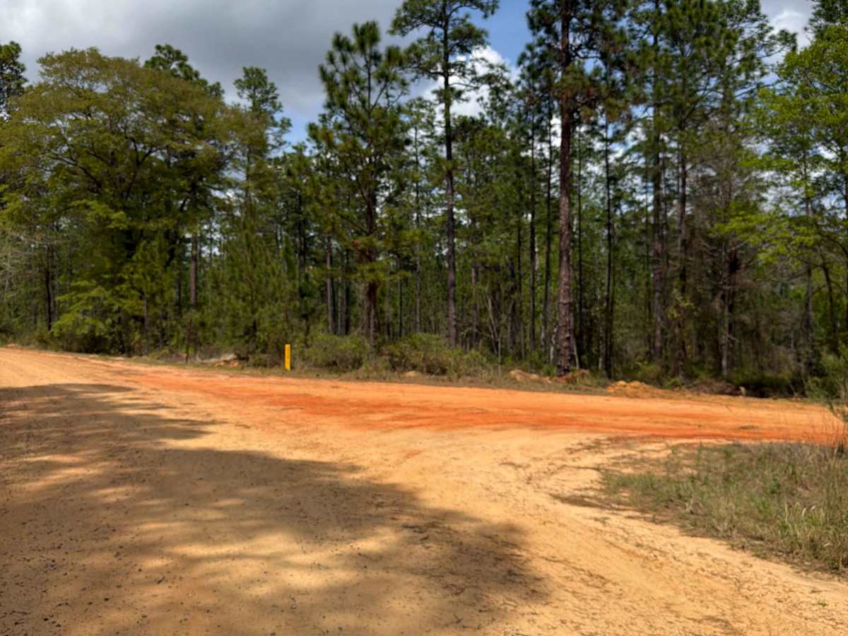 Bullard Church Road photo 4