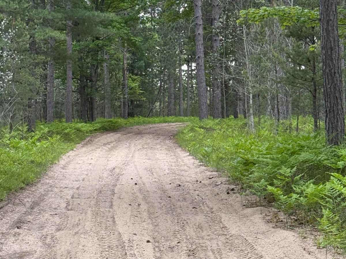 North Boardman River Trail photo 5