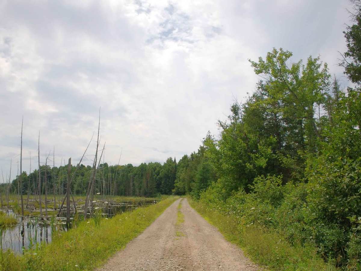 Clear Pond Road photo 3