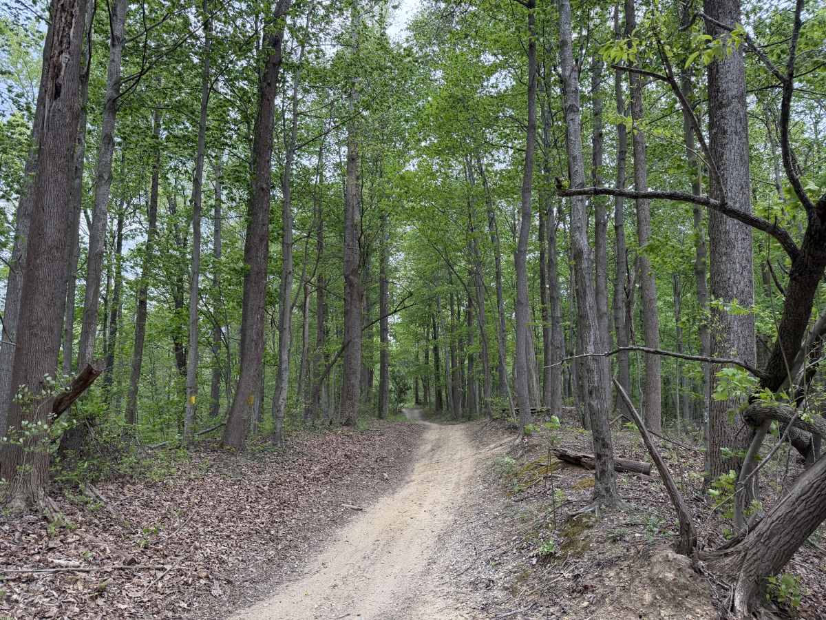 Copperhead Trail photo 5