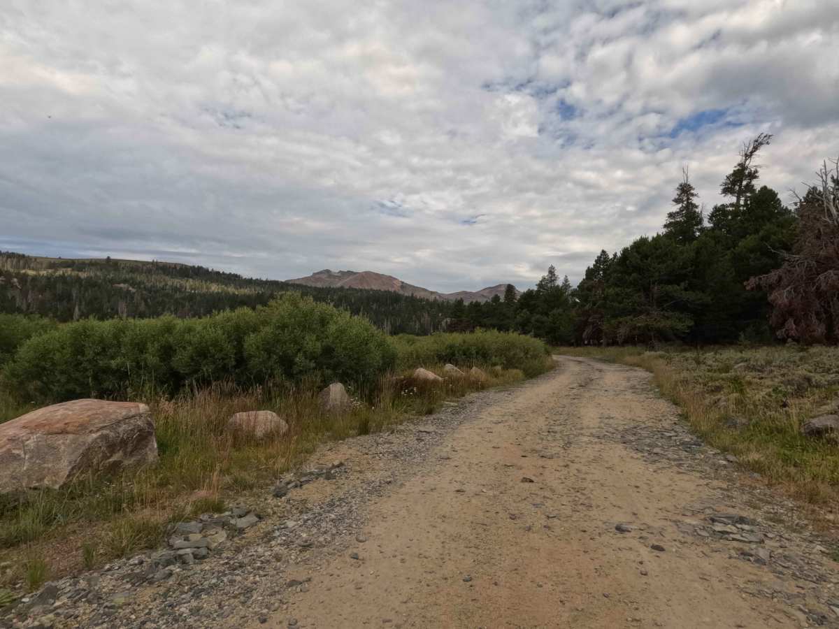 Hope Valley Campground South - FS 31081 photo 5